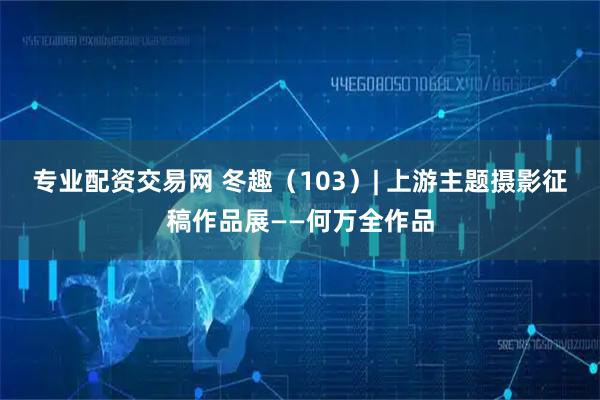 专业配资交易网 冬趣（103）| 上游主题摄影征稿作品展——何万全作品