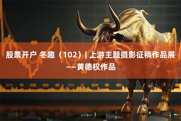 股票开户 冬趣（102）| 上游主题摄影征稿作品展——黄德权作品